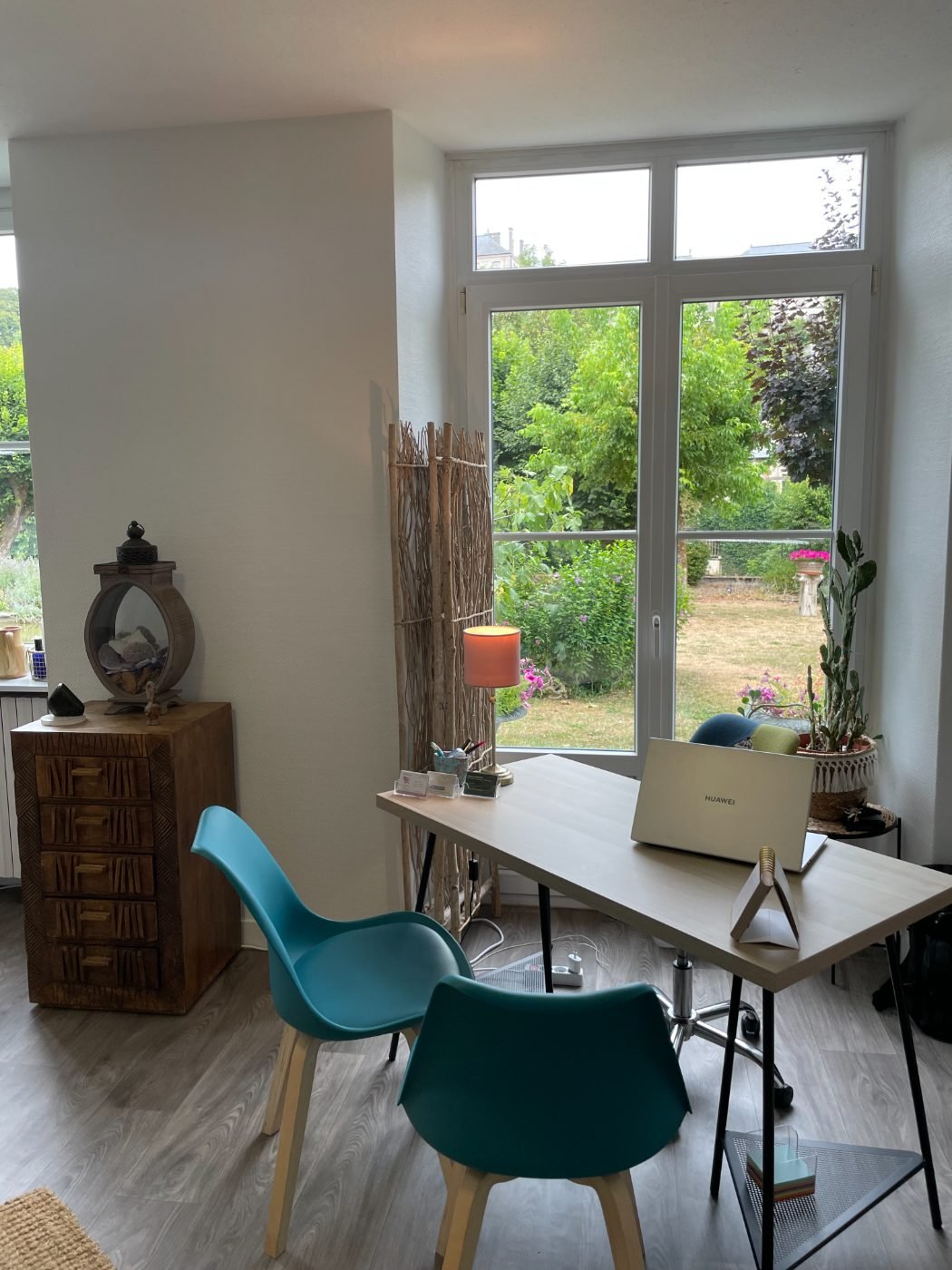 Séance de naturopathie et d'iridologie