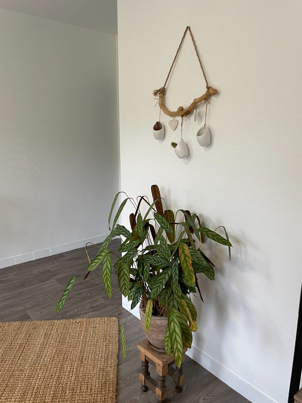 Séance de suivi naturopathique